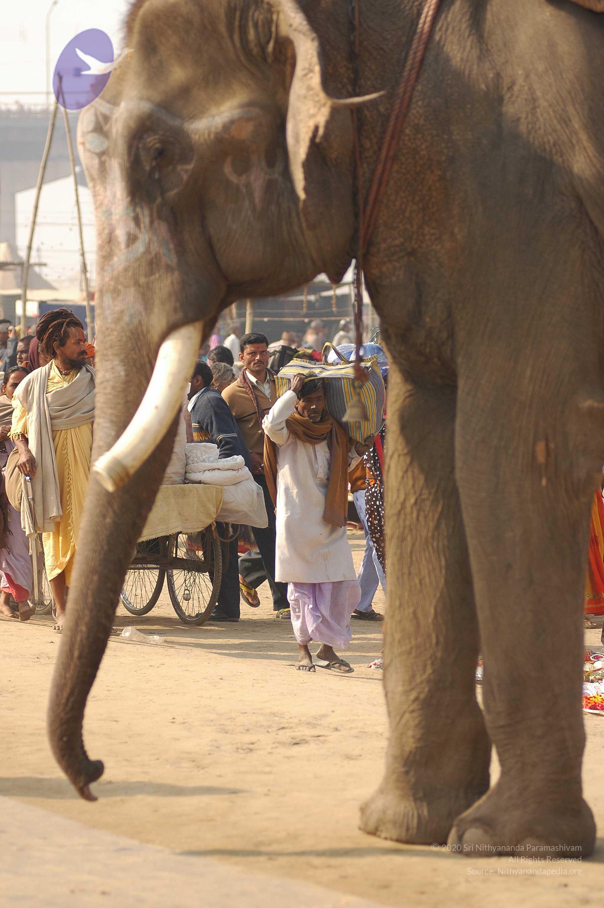 india-Ashram-Dic.30-31-1 -.05-06 187_CMP_WM